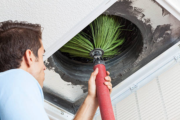 Best Dryer Vent Cleaning Services  in Arlington, TN